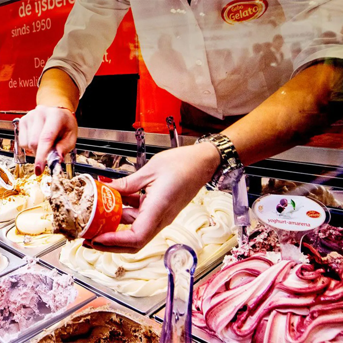 GEBOGELATO-VITRINE